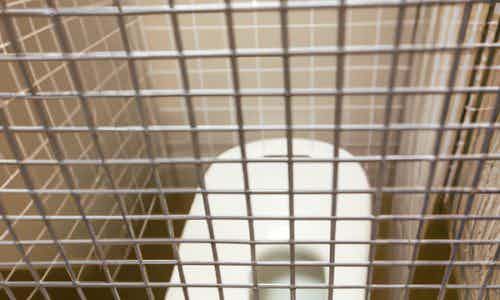 Pour mettre fin au ballet des passants à la recherche de toilettes, le patron d'un établissement à Nîmes a installé devant ses sanitaires un portique avec un QR Code. Cela met en lumière le manque de toilettes dans certaines villes.
